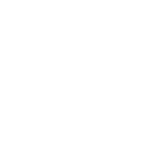 logoWhite